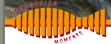 click here to go to the homepage Sportfishmoments logo